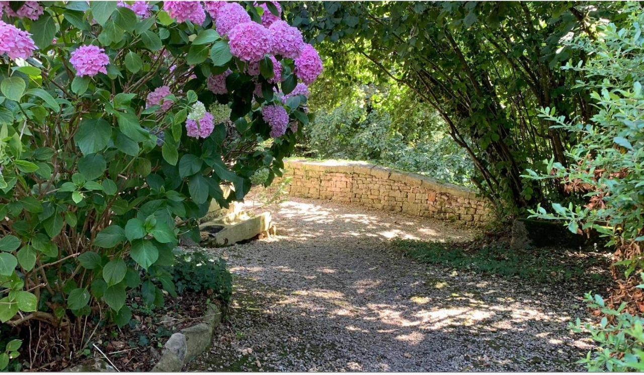 Mazette! Le Château Niort Exterior foto