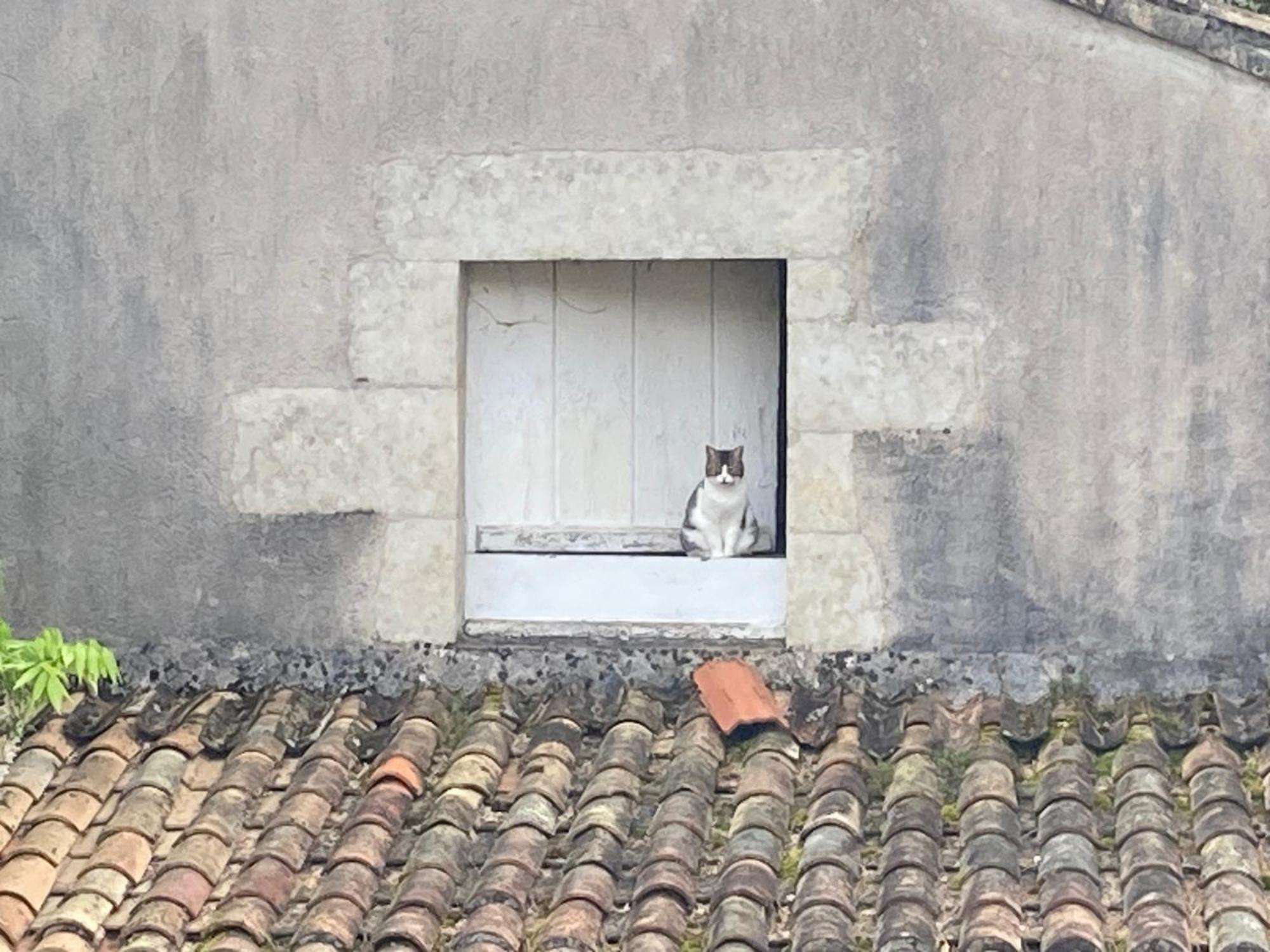 Mazette! Le Château Niort Exterior foto
